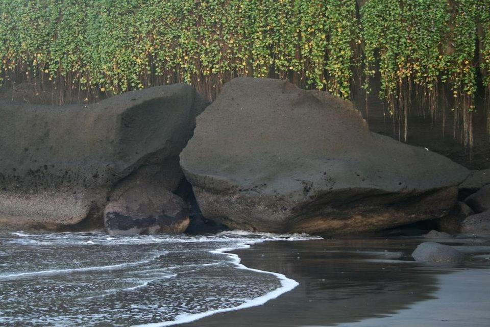 Istana Balian - Boutique Hotel Resort Selemadeg  Dış mekan fotoğraf